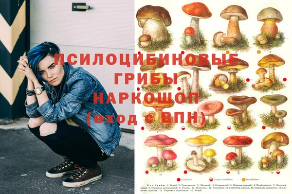 ECSTASY Покровск